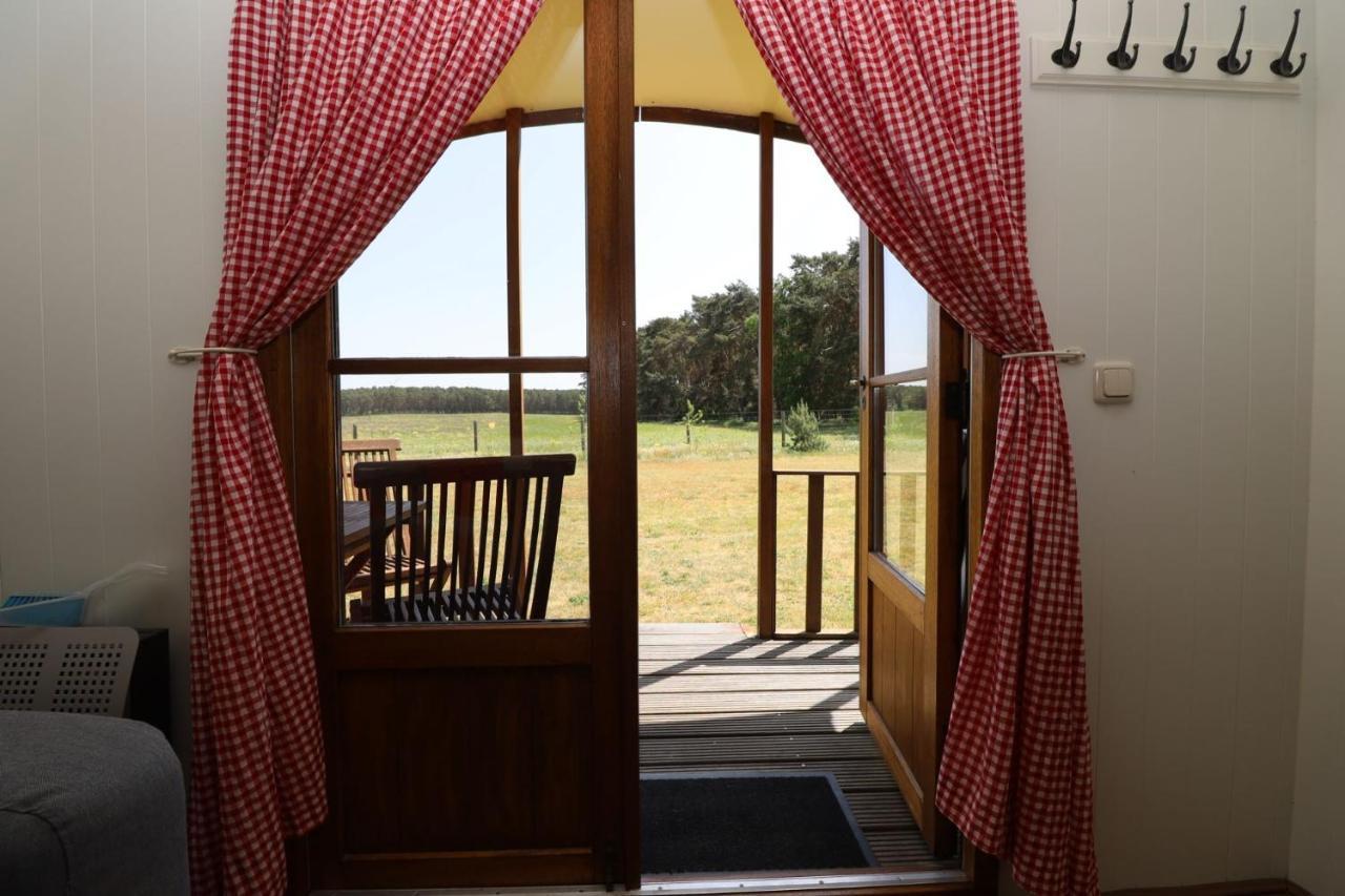 Landgut Voigtsmühle Glamping Lodge Villa Veranda XL 1 Friedland  Exterior foto