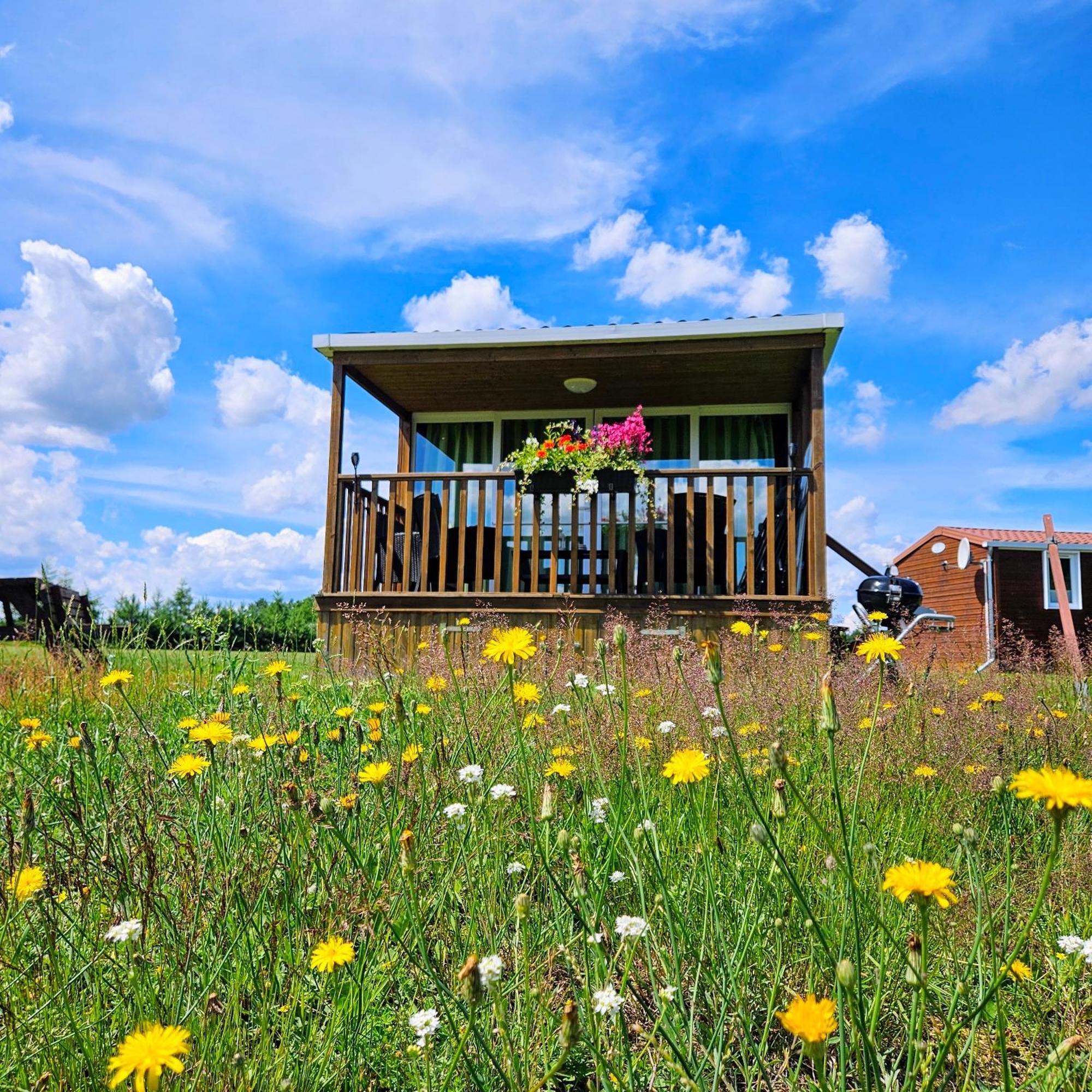Landgut Voigtsmühle Glamping Lodge Villa Veranda XL 1 Friedland  Exterior foto